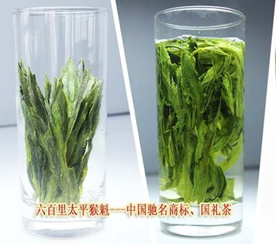 1471227822774356.jpg 如何選擇.jpg