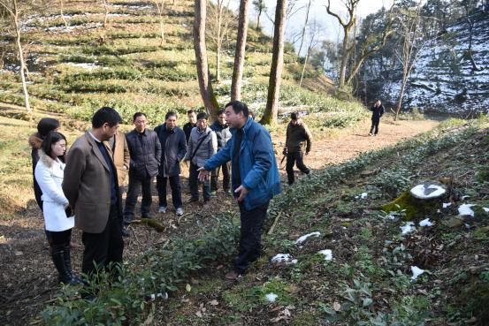 宛曉春一行到桃源基地考察.jpg 宛曉春一行到桃源基地考察.jpg