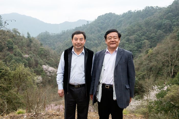 劉平均一行視察六百里茶園基地.jpg 劉平均一行視察六百里茶園基地.jpg