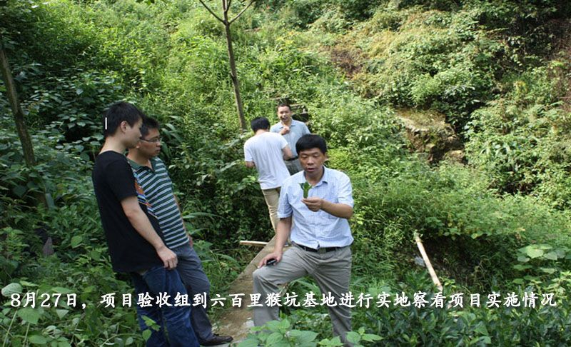 六百里猴魁物聯(lián)網(wǎng)建設(shè)與品牌宣傳項(xiàng)目驗(yàn)收.jpg 六百里猴魁物聯(lián)網(wǎng)建設(shè)與品牌宣傳項(xiàng)目驗(yàn)收.jpg