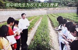 黃山六百里猴魁茶業(yè)有限公司董事長鄭中明訪談錄.jpg 黃山六百里猴魁茶業(yè)有限公司董事長鄭中明訪談錄.jpg