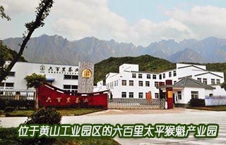 黃山六百里猴魁茶業(yè)有限公司董事長鄭中明訪談錄.jpg 黃山六百里猴魁茶業(yè)有限公司董事長鄭中明訪談錄.jpg