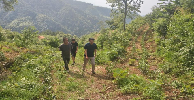 1691024677733185.png image.png