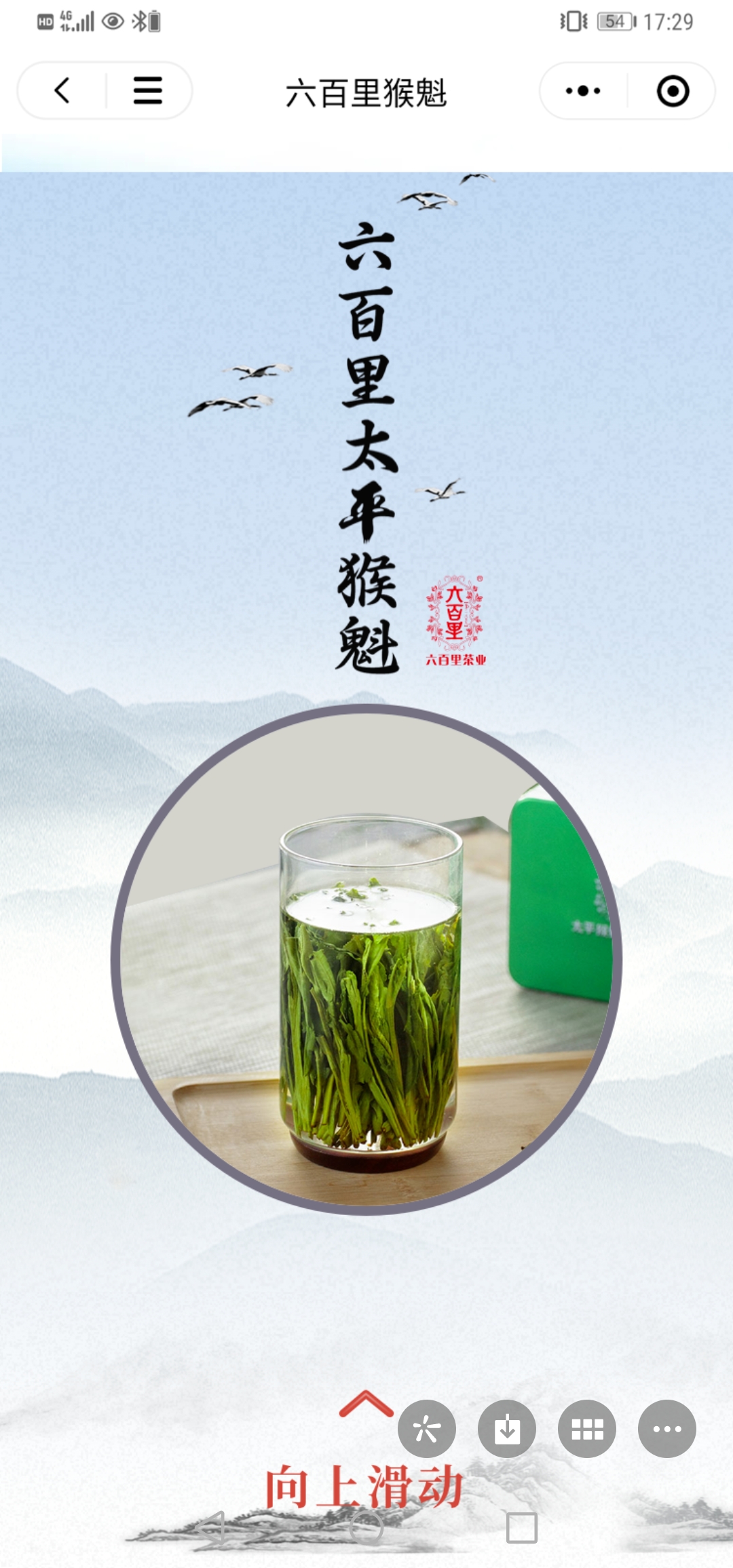 1626137190774394.jpg 890e310aa5189a8c201810020a6683b.jpg